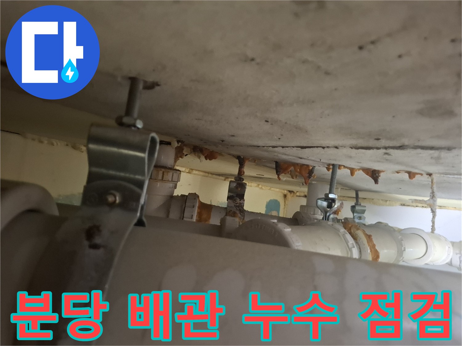 분당 봇들마을 아파트 - 배관 누수 긴급 점검으로 초기 대응
