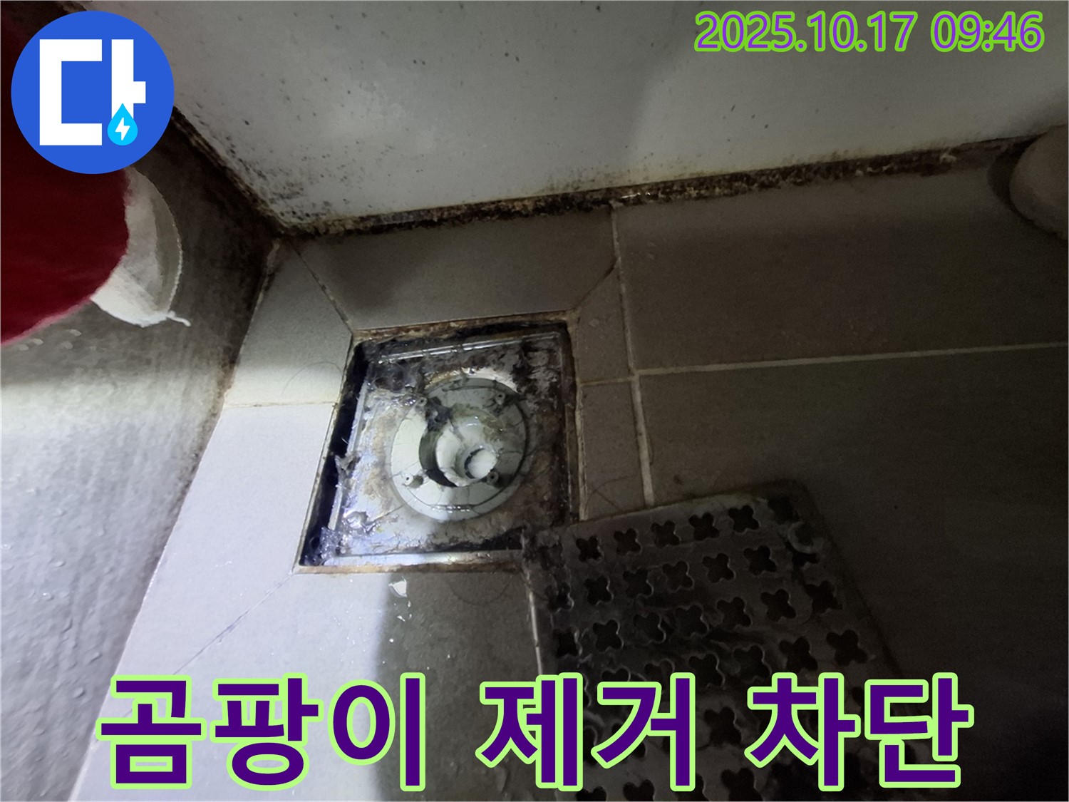 분당 봇들마을 아파트 욕실 배수구 곰팡이 제거 - 누수 완벽 차단 - 안심하고 사용하세요.