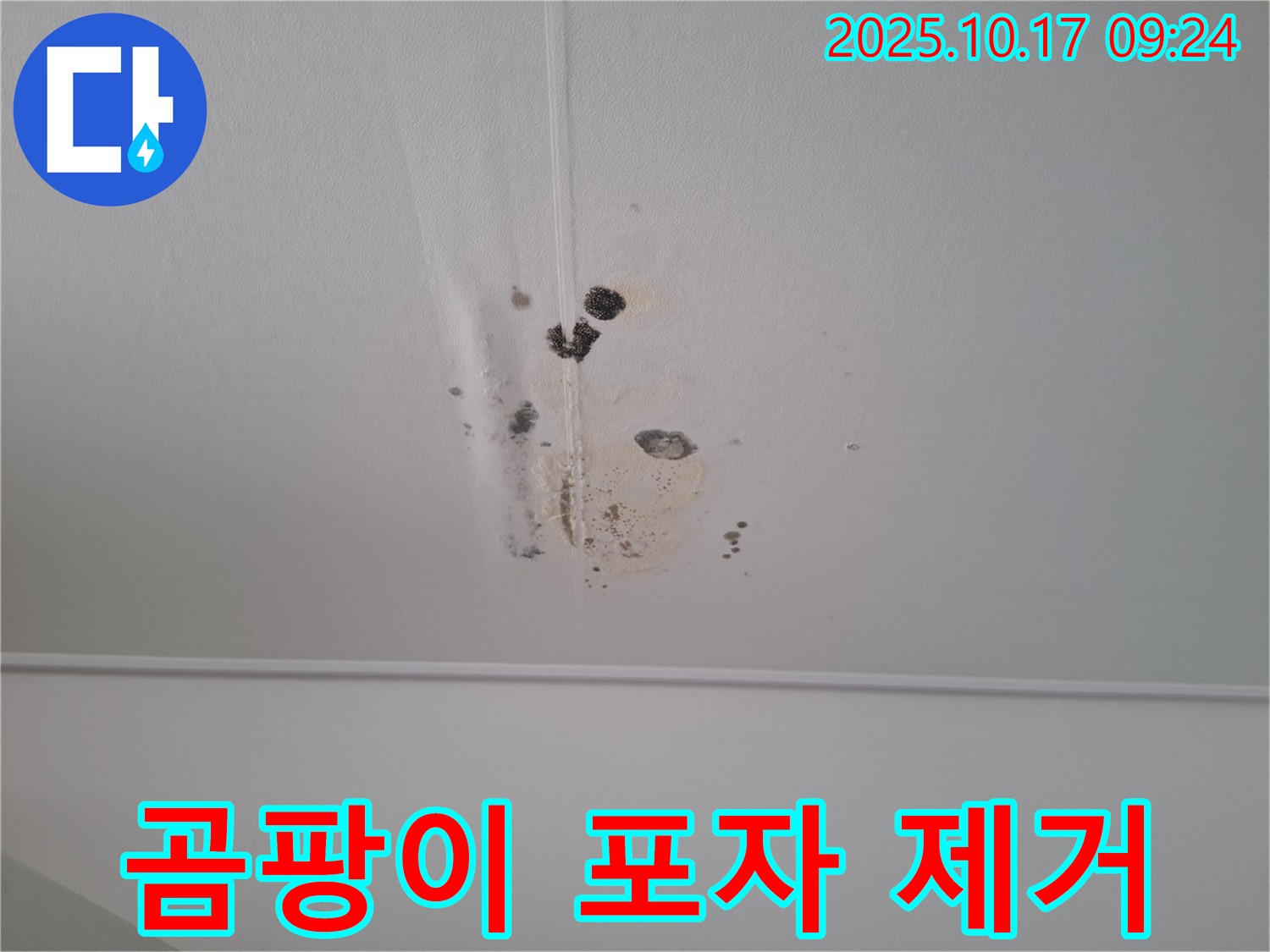 분당 봇들마을 아파트 천장 누수 - 곰팡이 포자 제거 시공