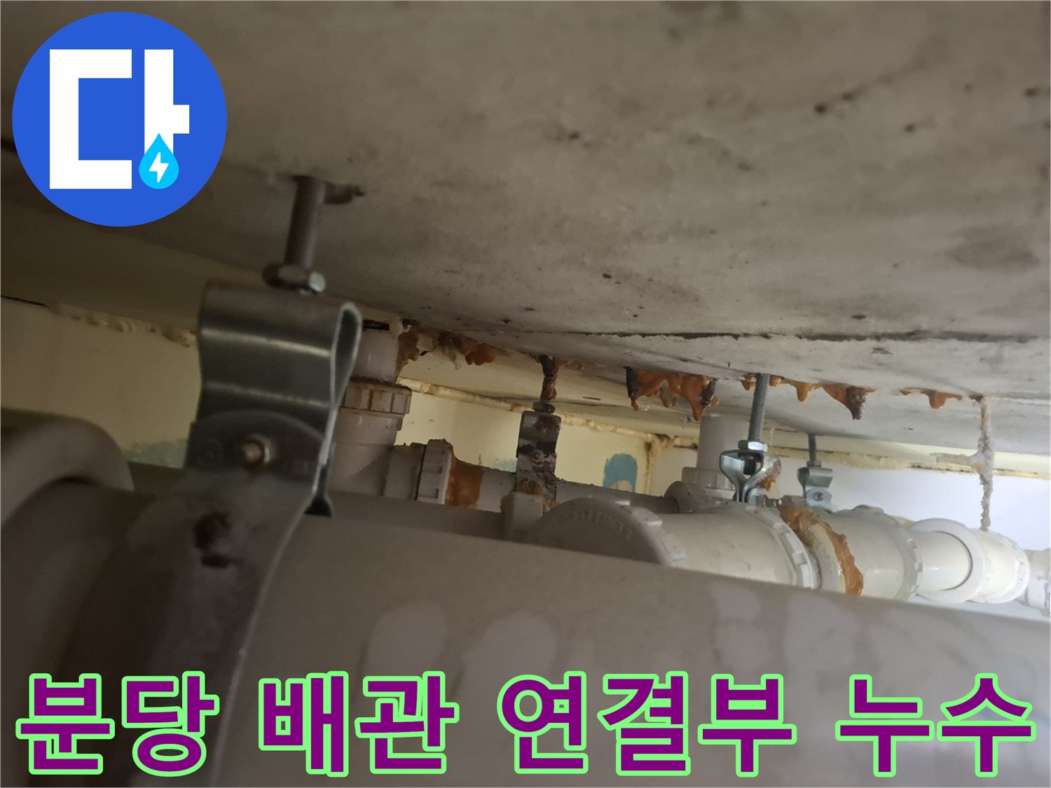 분당 봇들마을 아파트 - 천장 누수 원인, 배관 연결부 문제
