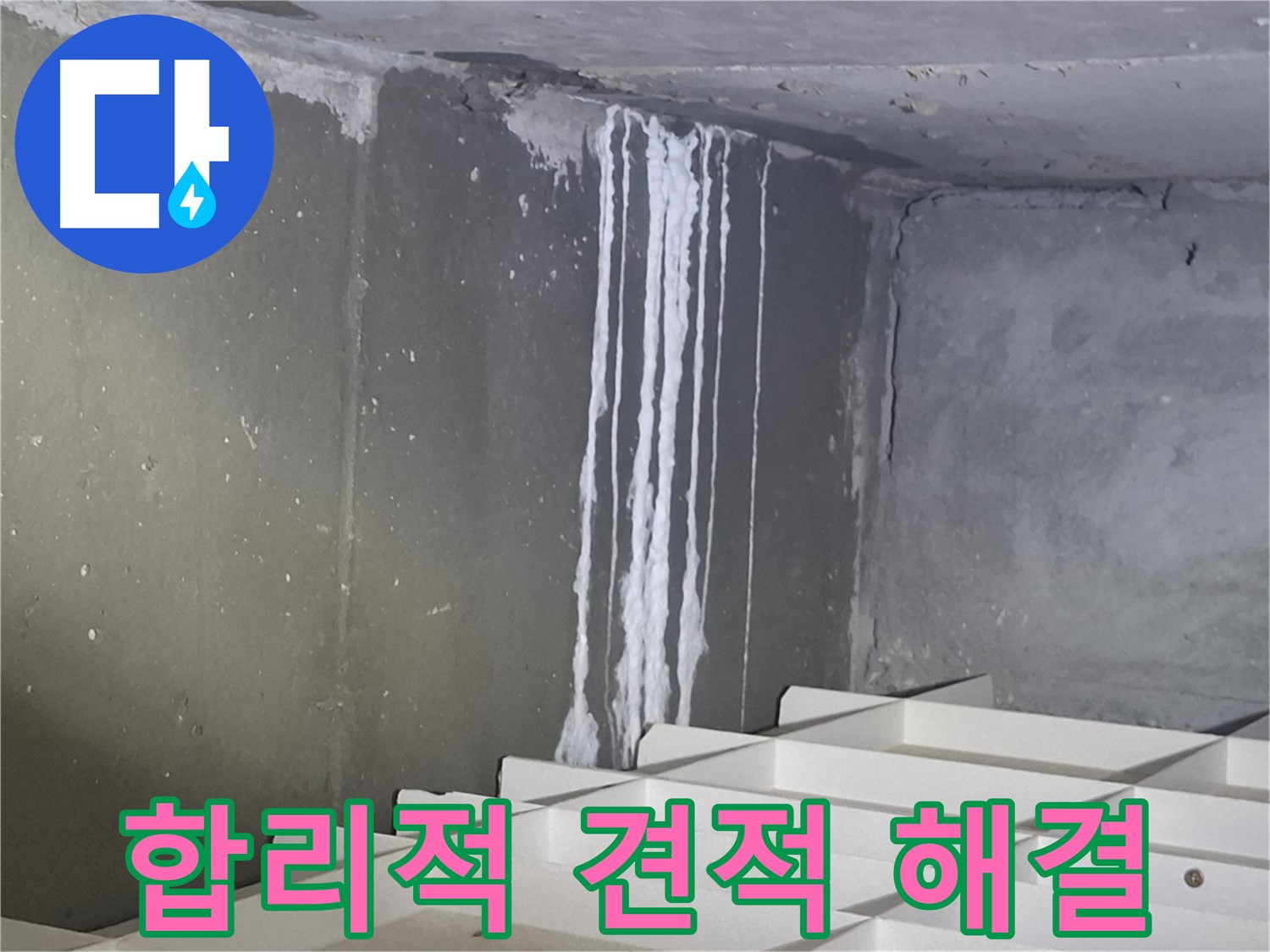 분당 삼평동 봇들마을 아파트 누수 - 주차장 누수, 합리적인 견적으로 해결