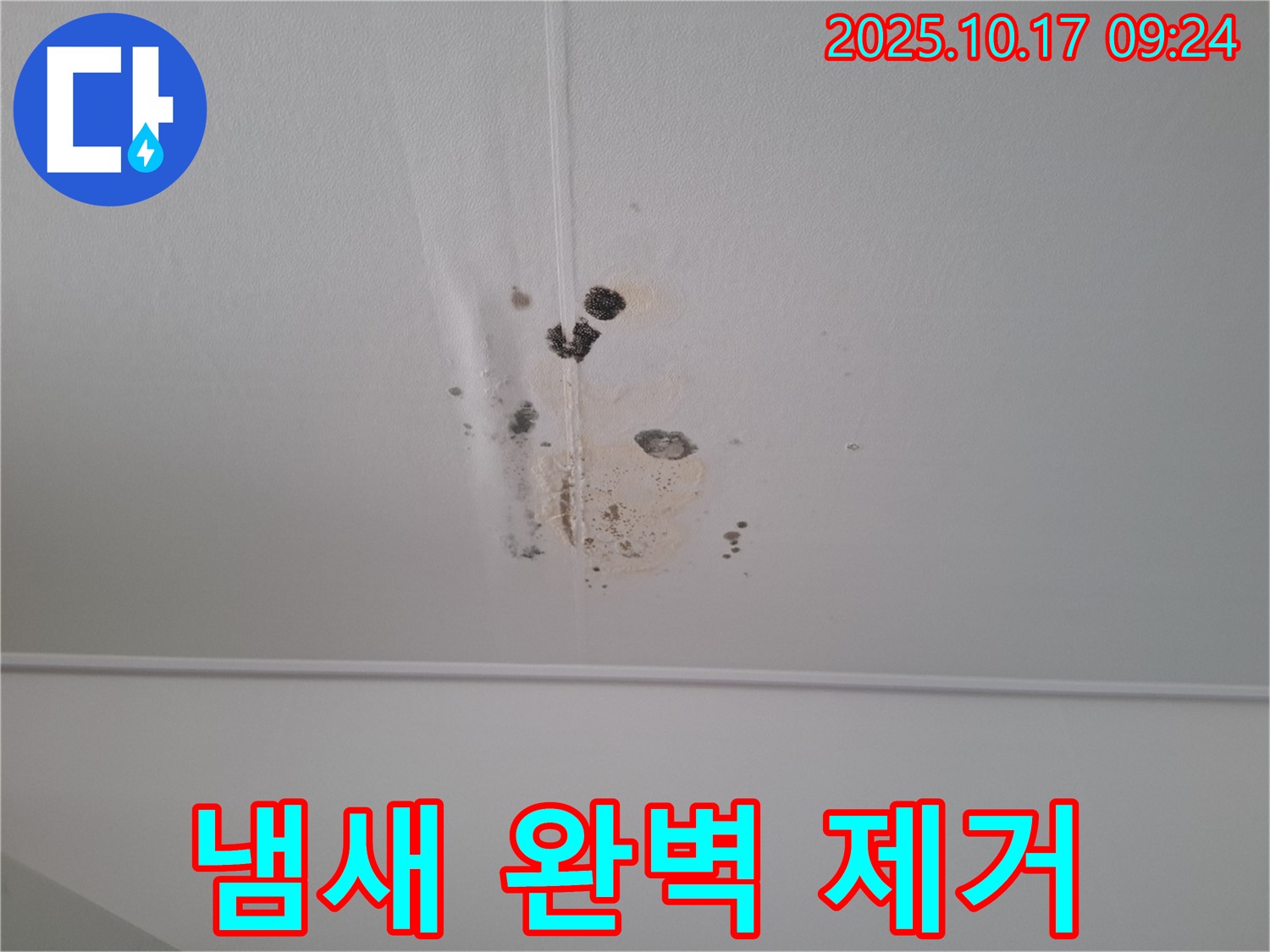 분당 삼평동 봇들마을 아파트 천장 누수 - 곰팡이 냄새 완벽 제거