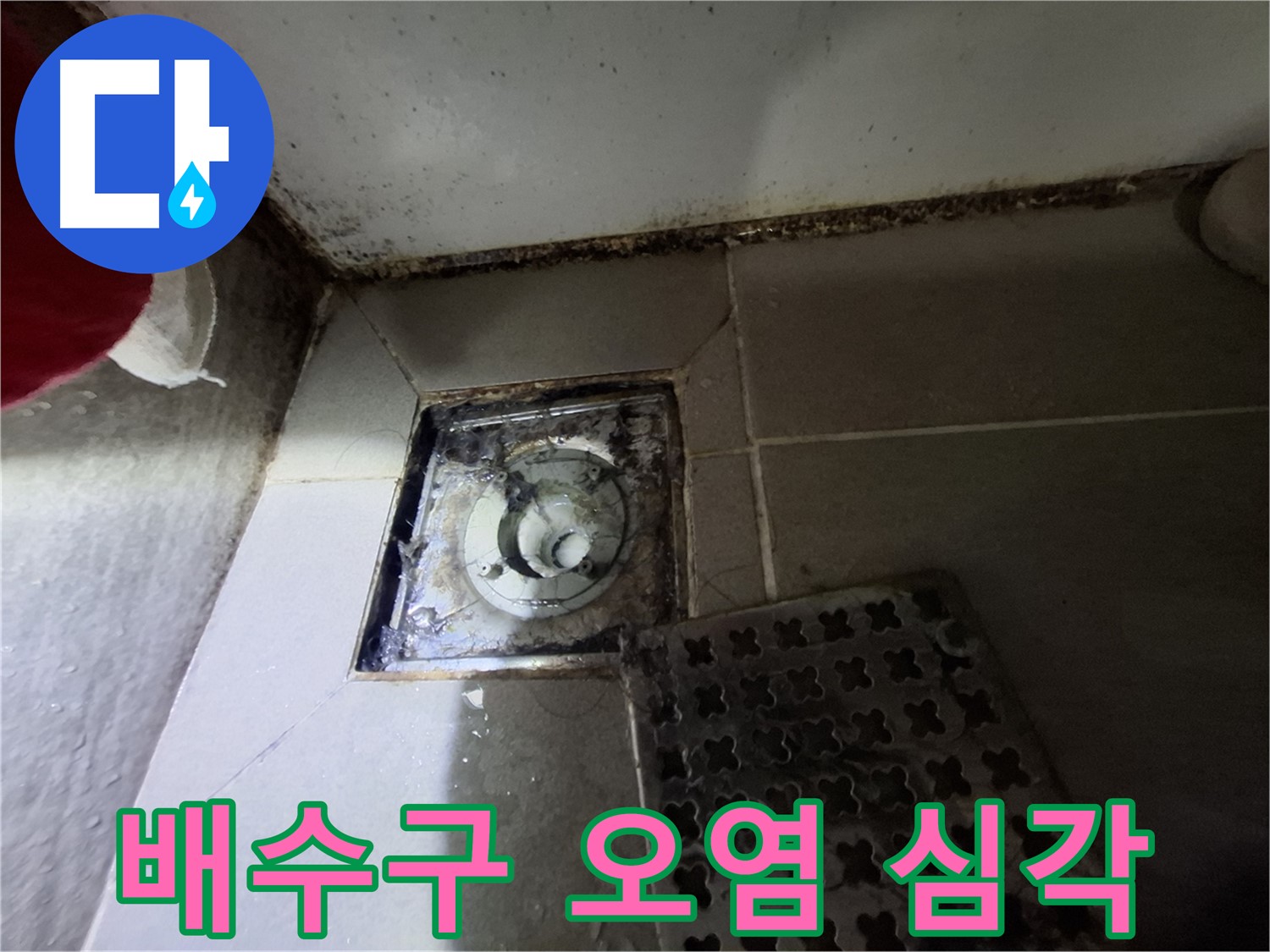 분당 삼평동 봇들마을2단지 욕실 - 배수구 오염 심각, 누수 의심