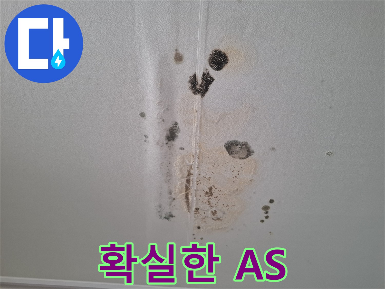 분당 삼평동 아파트 누수 - 곰팡이 문제 확실한 A/S 보장