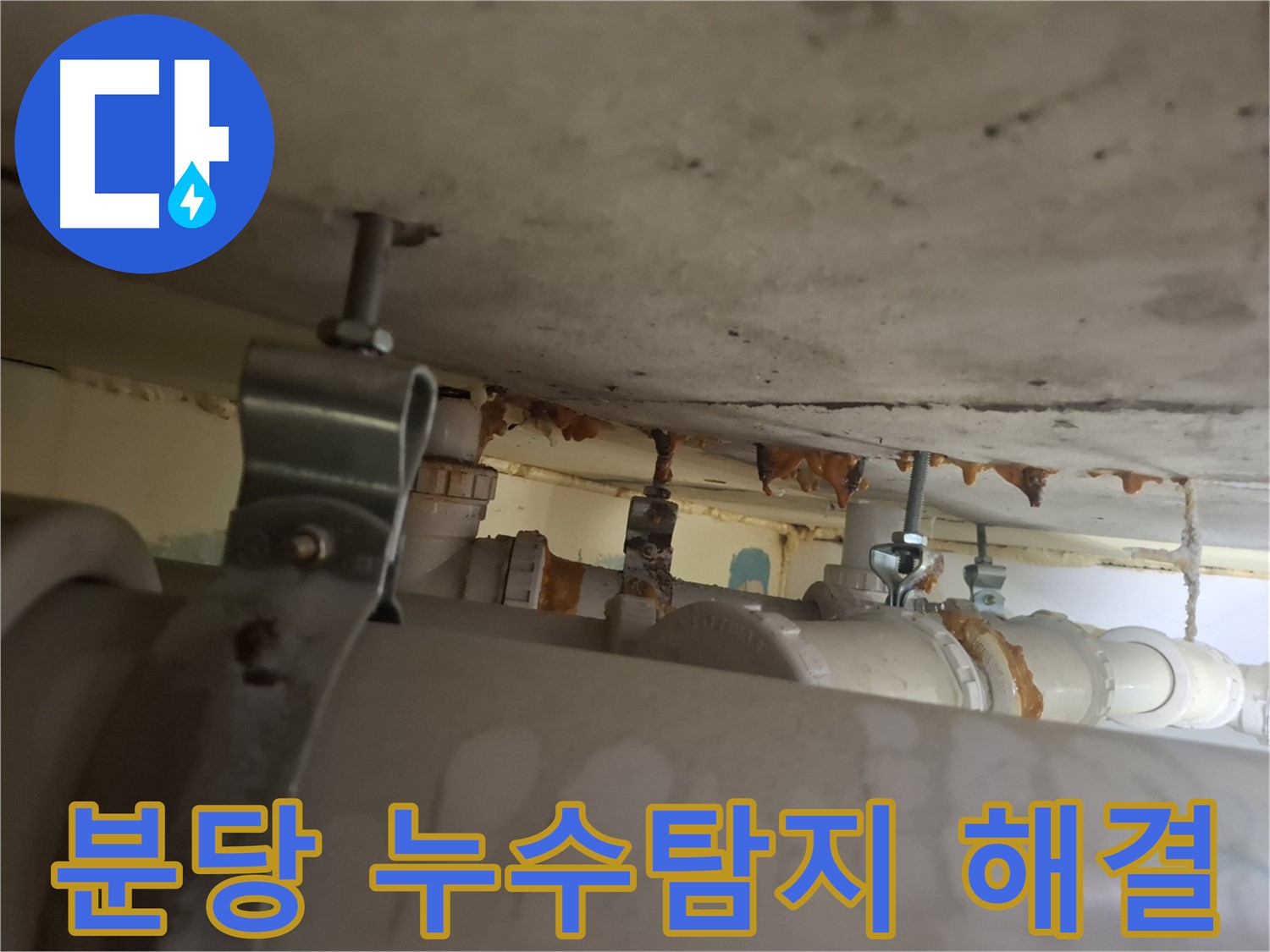 분당 삼평동 아파트 누수 해결 - 봇들마을 누수탐지 전문가의 꼼꼼한 시공