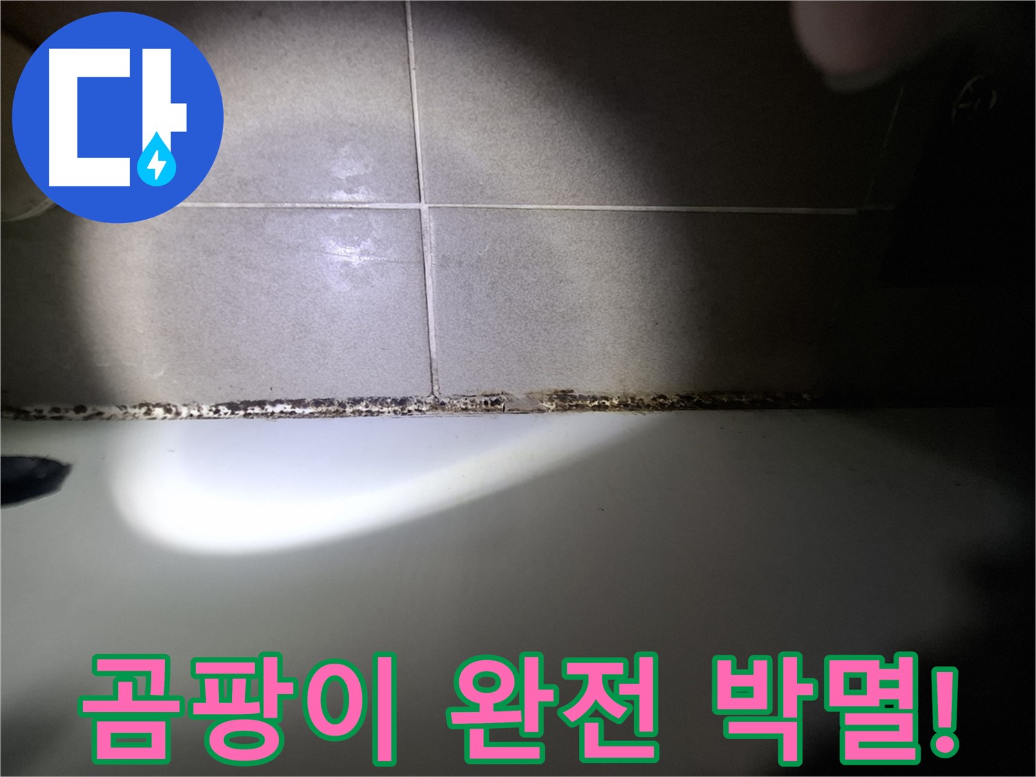 분당 욕조 곰팡이 완벽 해결 - 곰팡이 완전 박멸을 위한 최첨단 장비 시공