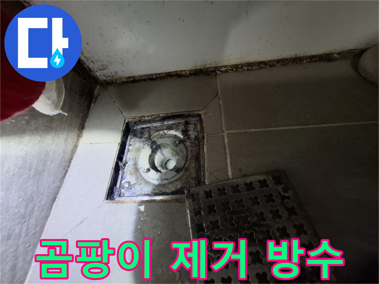 분당구 봇들마을2단지 욕실 - 곰팡이 제거 후 완벽 방수 작업