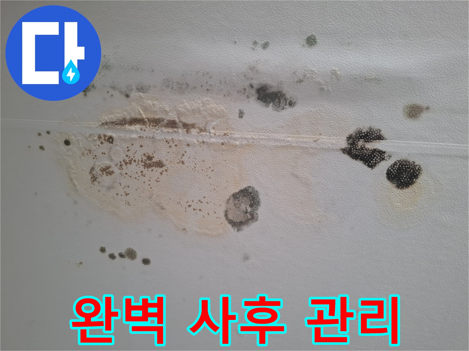 분당구 삼평동 누수 - 곰팡이 천장 제거 후 완벽한 사후 관리 시스템 제공