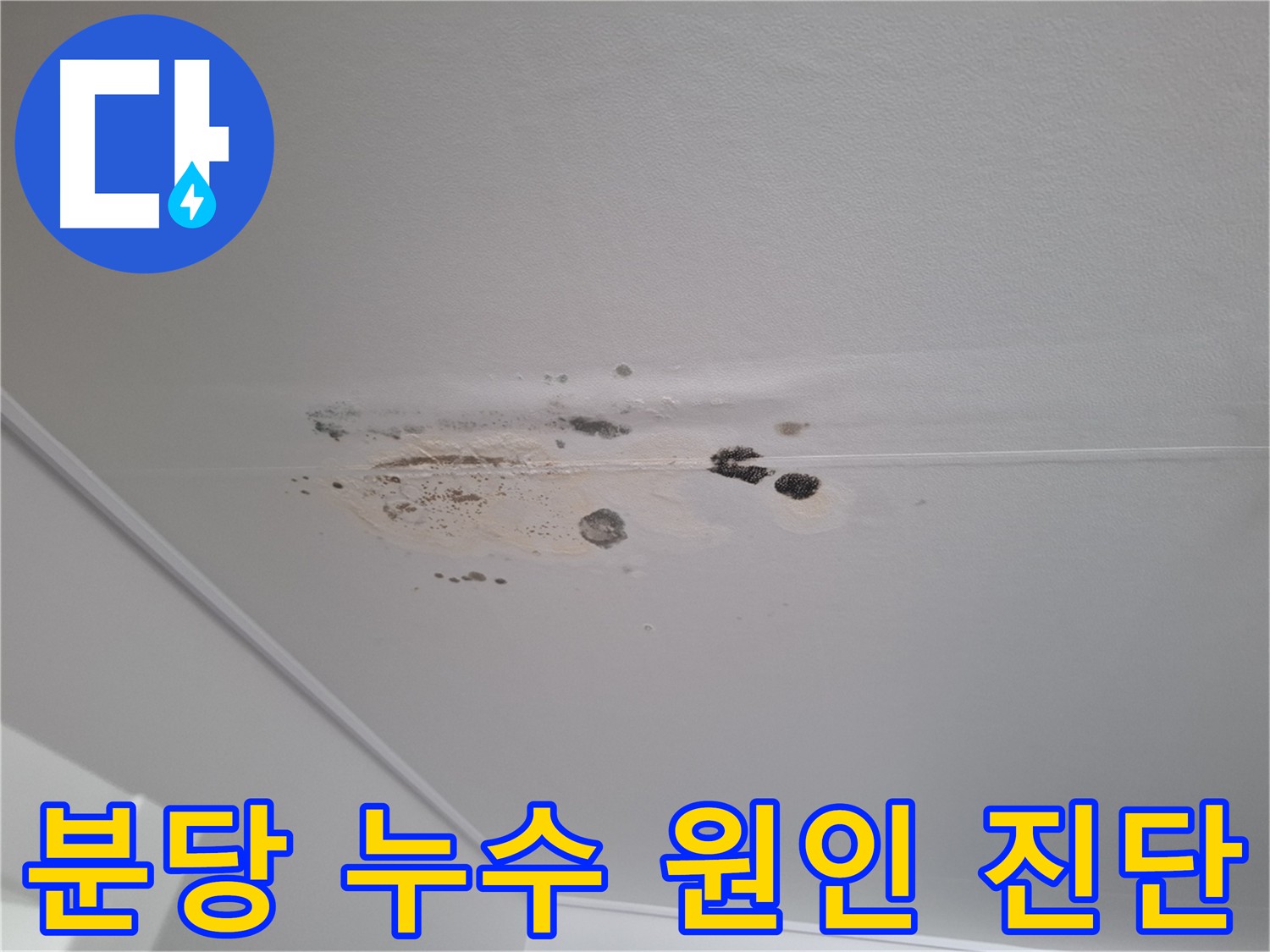누수 탐지 전문 - 최첨단 장비와 기술력으로 정확한 원인 진단