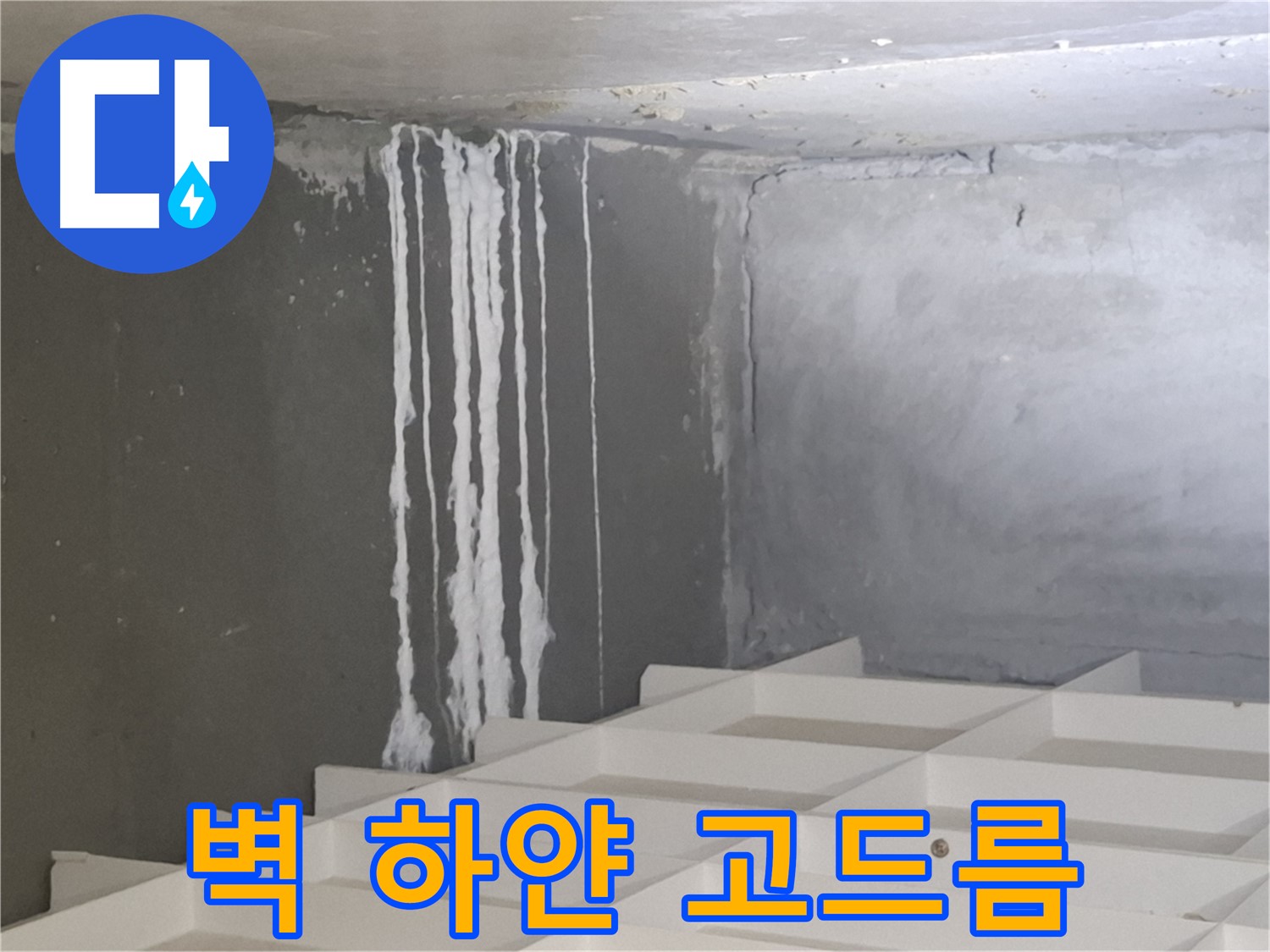 삼평동 누수 - 벽에 맺힌 하얀 고드름, 누수와 관련된 석회 성분일 가능성 진단