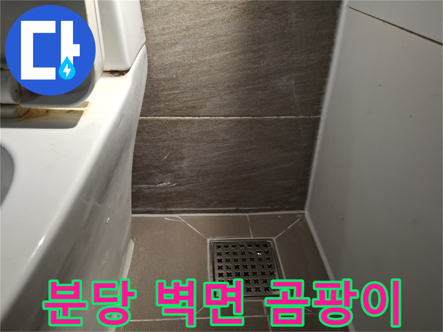 분당 변기 뒤쪽 벽면 곰팡이 - 윗집 누수 의심