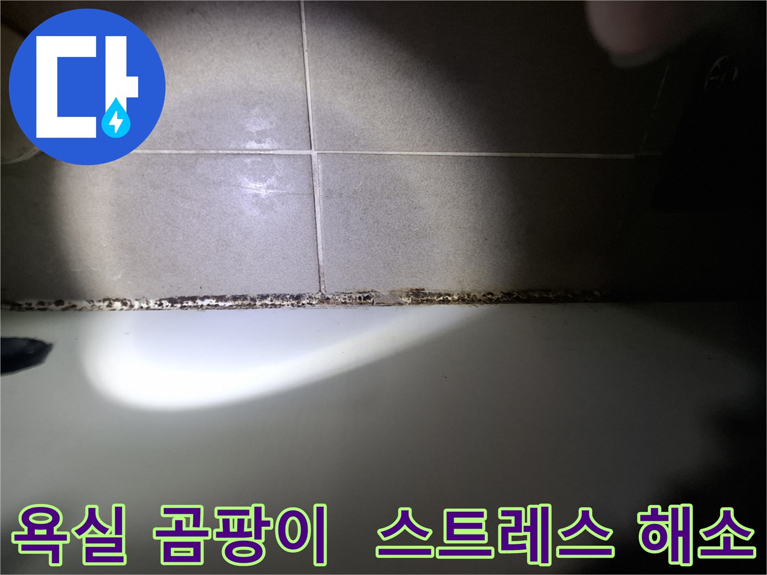 삼평동 아파트 욕실 곰팡이 제거 후 쾌적한 욕실 환경 사진