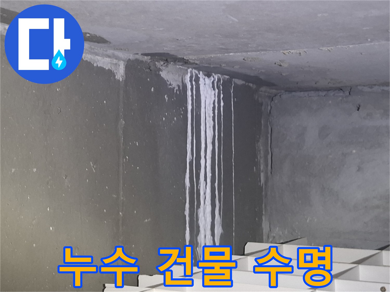 성남 건물 누수 - 건물 수명 연장의 시작