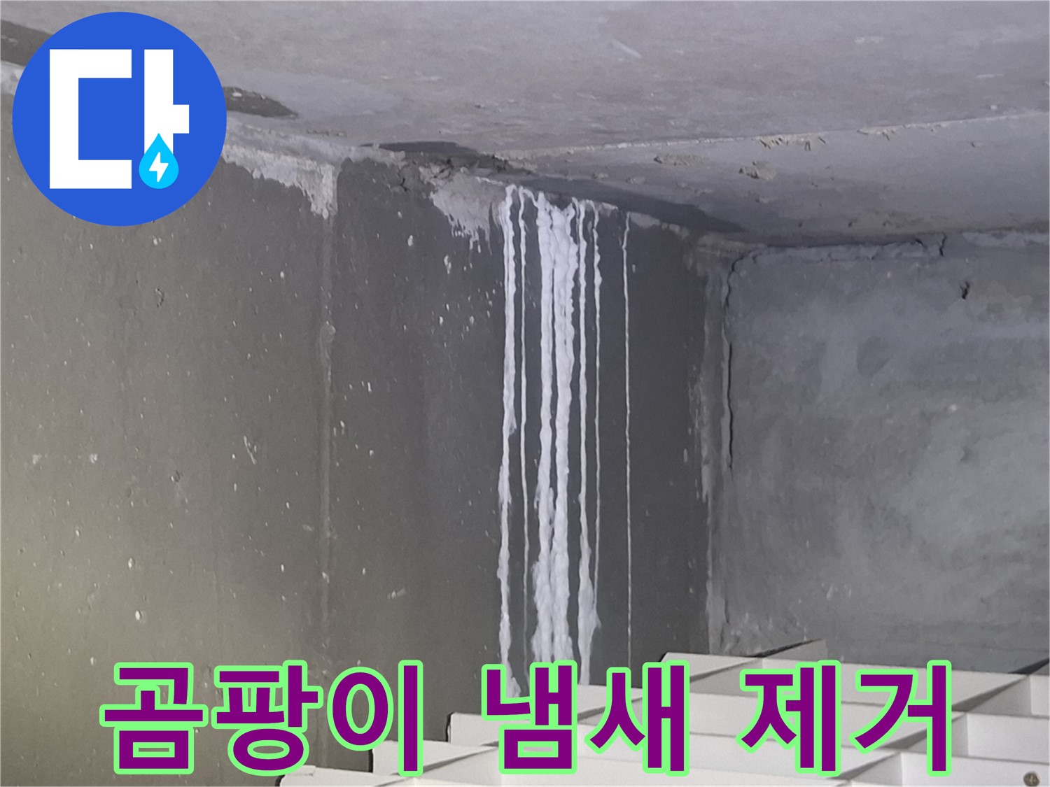 성남 누수 공사 후 - 곰팡이 냄새 제거! 쾌적한 환경으로!