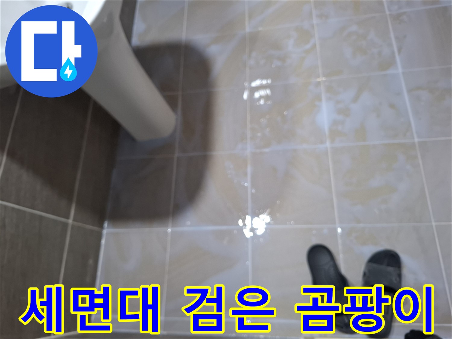 성남 봇들마을 세면대 누수 - 타일 틈새에 검은 곰팡이가 피어 있고 물기가 있는 누수