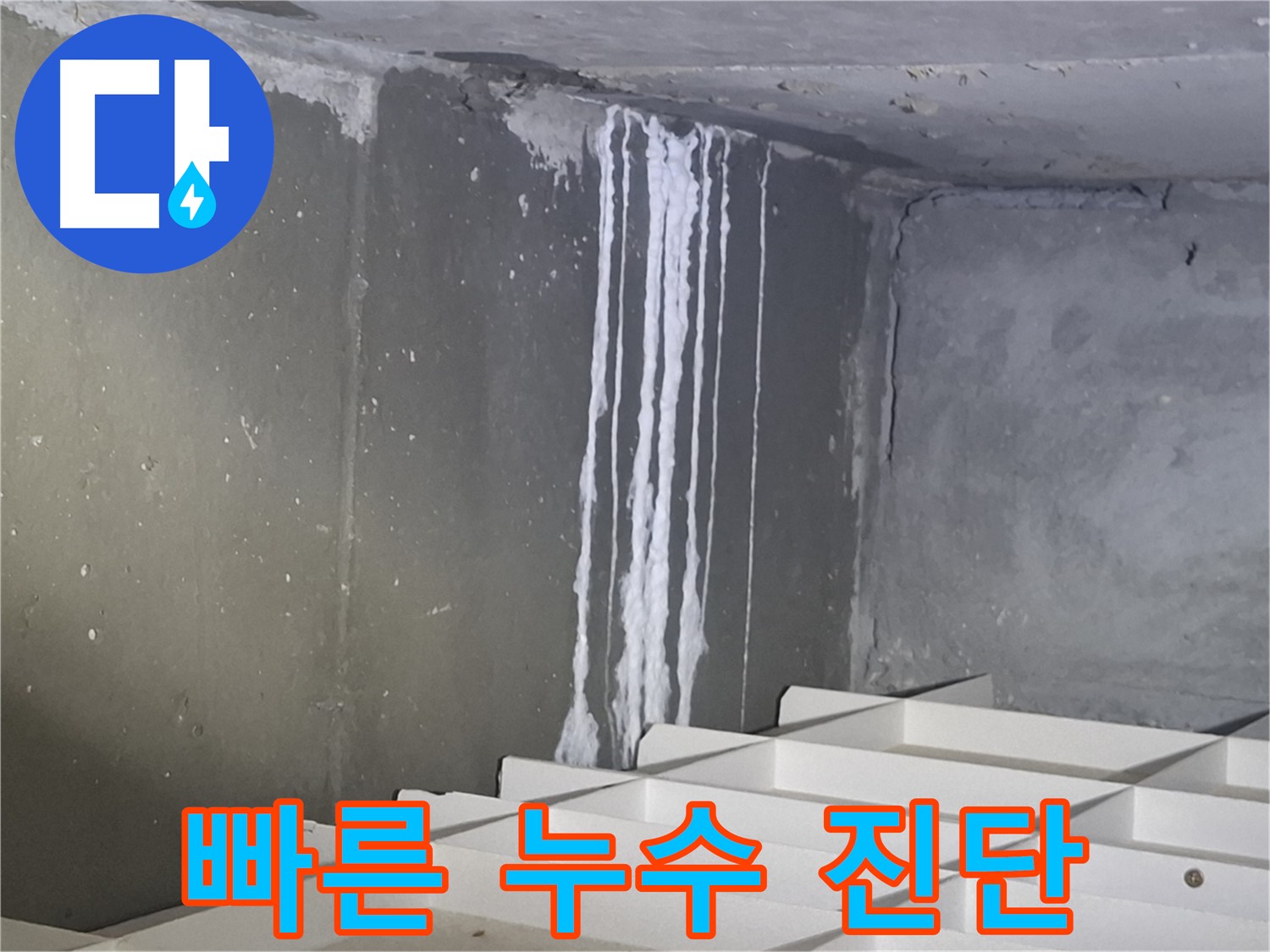 성남 봇들마을 아파트 주차장 누수 - 빠른 점검과 정확한 진단