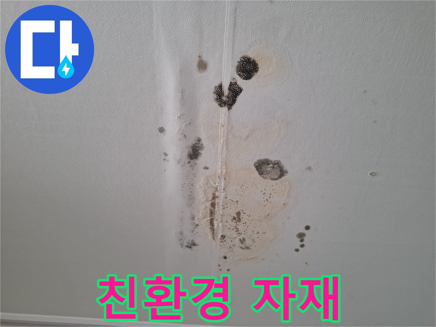 성남 분당 누수 - 곰팡이 문제 친환경 자재 사용으로 안전하게 해결