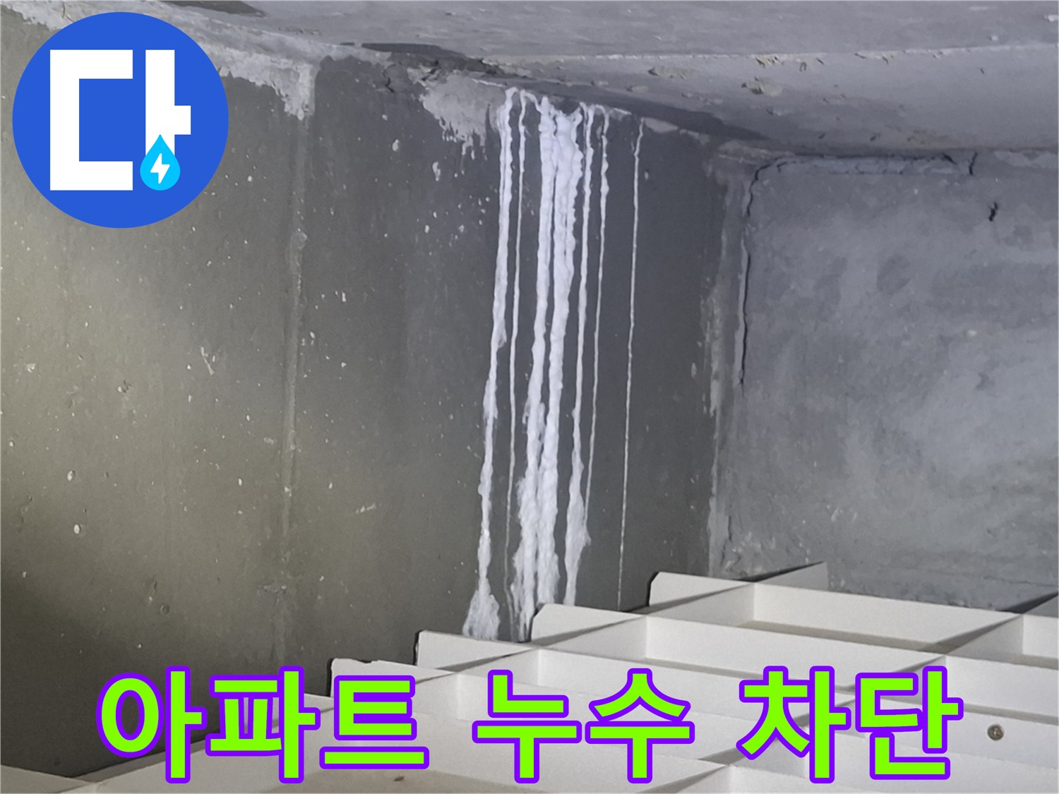 성남 분당 봇들마을 아파트 누수 차단 - 확실한 시공으로 문제 해결