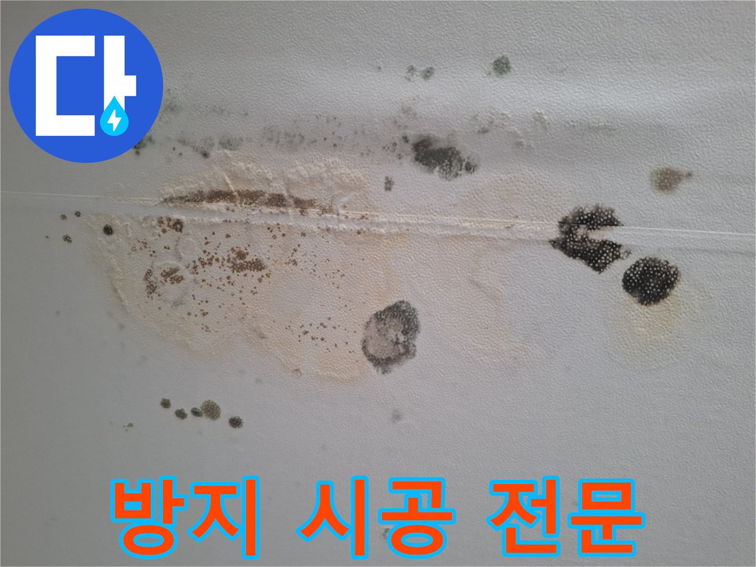 성남 분당구 누수 - 곰팡이와 누수 자국 방지 시공 전문