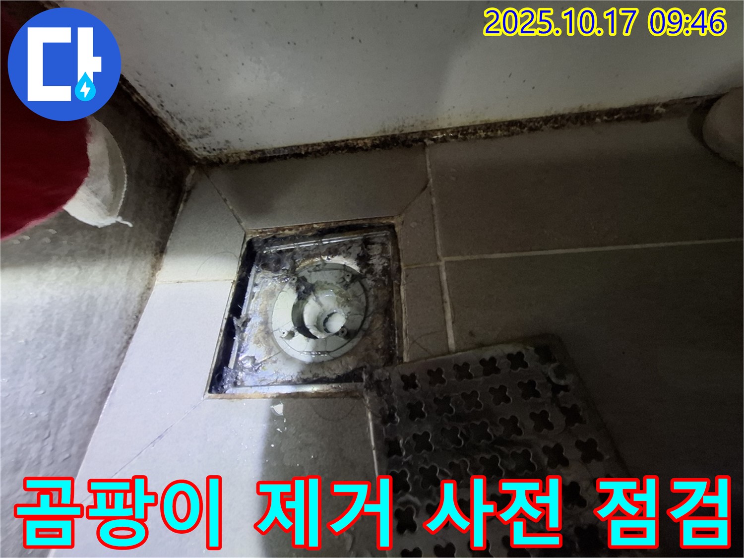 성남 분당구 삼평동 봇들마을 아파트 욕실 배수구 - 곰팡이 제거 및 누수 사전 점검 - 쾌적한 욕실 환경을 위한 첫걸음.
