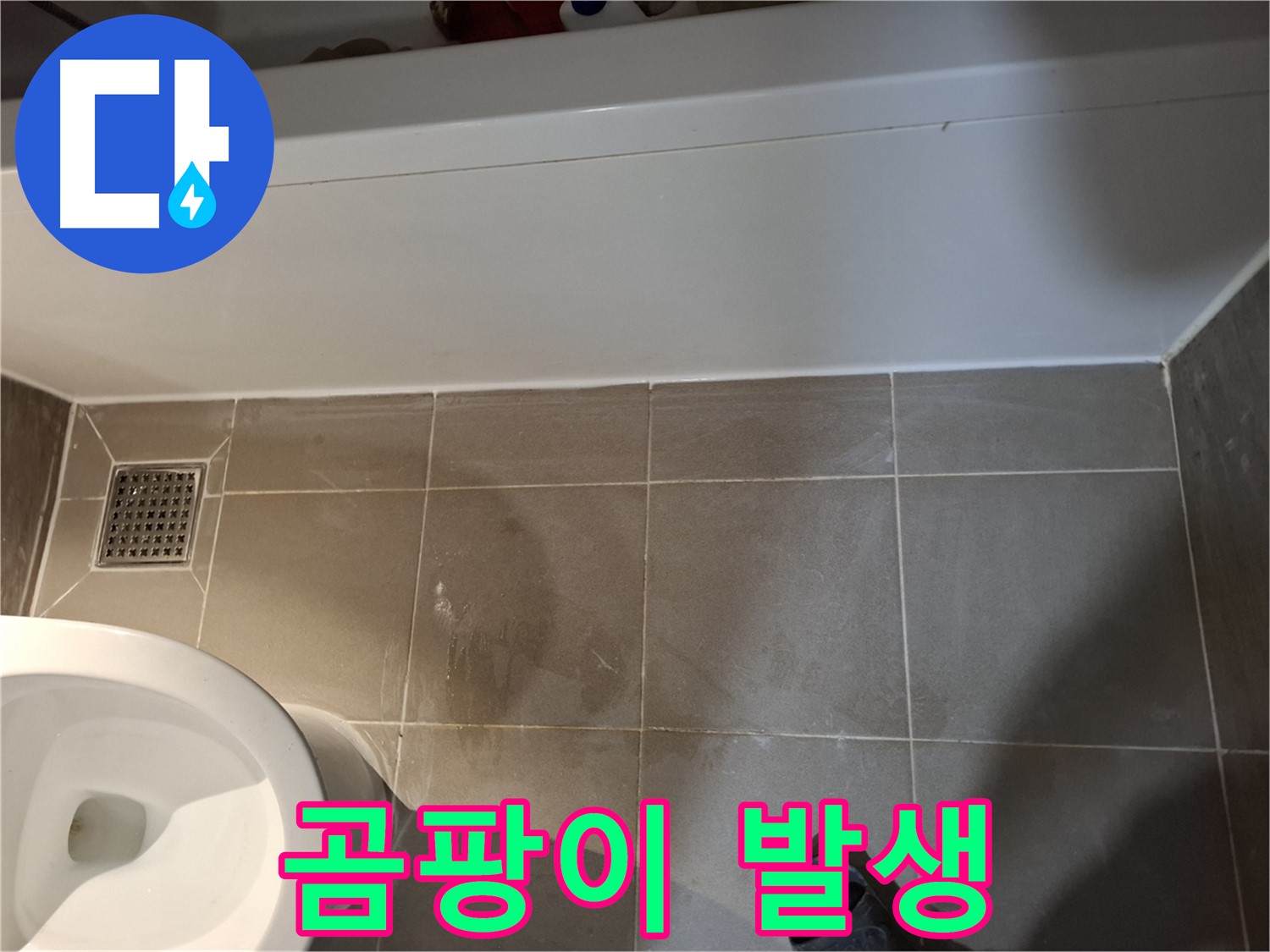 욕실 타일 틈새 곰팡이 발생 - 누수 가능성