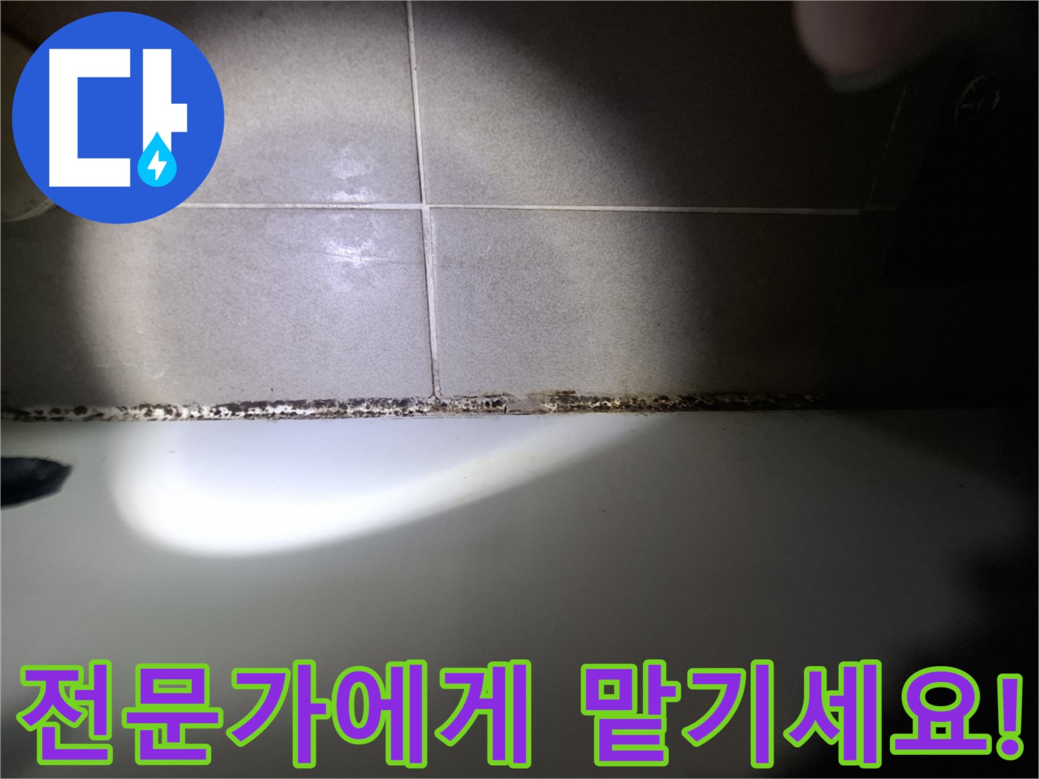 욕조 곰팡이 - 곰팡이 고민 해결, 전문가의 손길로!