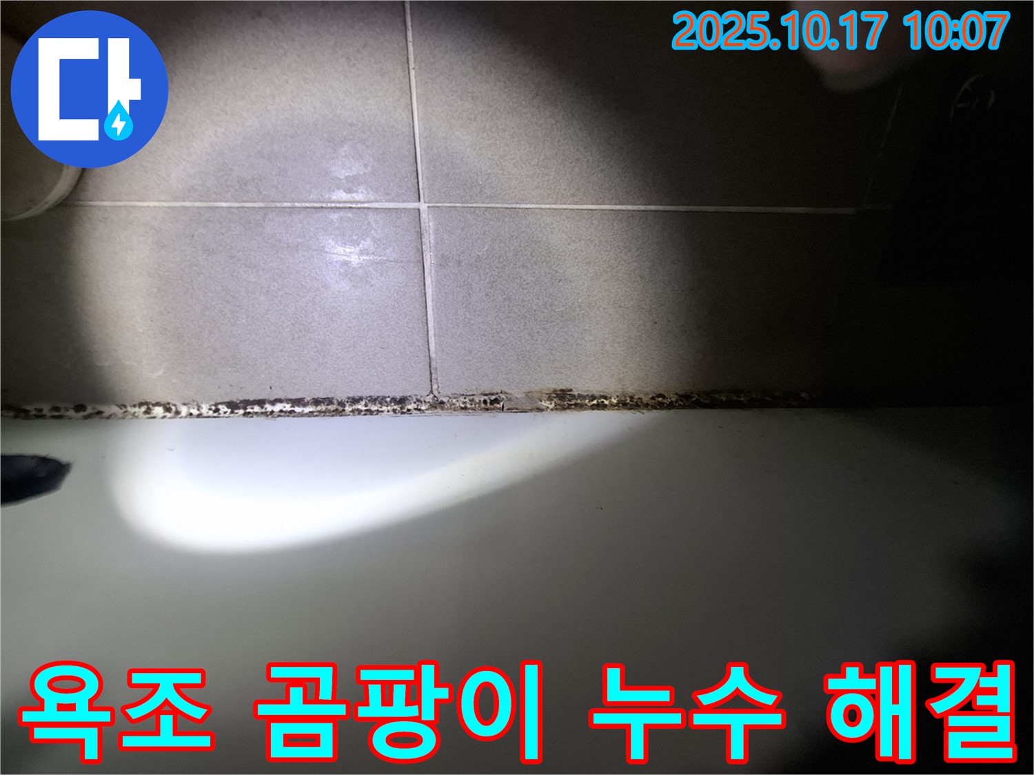 욕조 곰팡이 문제 해결의 첫걸음은 누수 해결입니다 - 전문가의 도움을 받으세요.