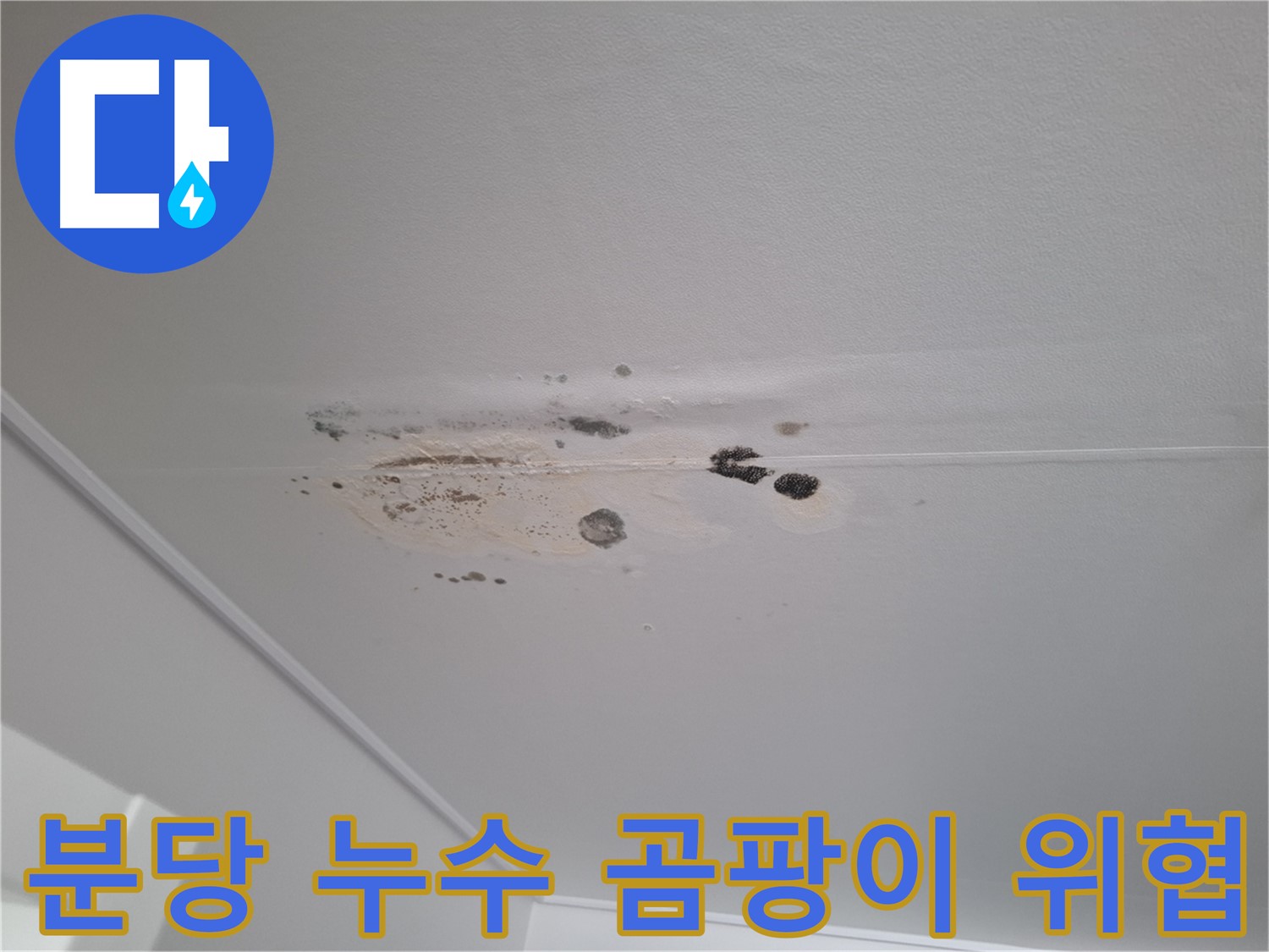 천장 누수 - 곰팡이, 건강을 위협합니다