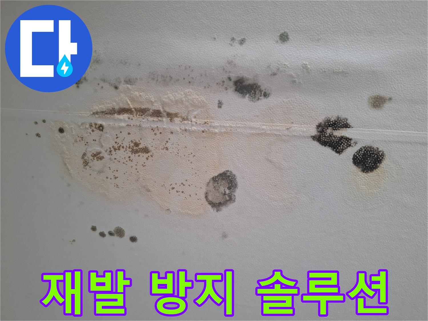 판교 누수 - 곰팡이와 누수 흔적 제거 및 재발 방지 솔루션 제공