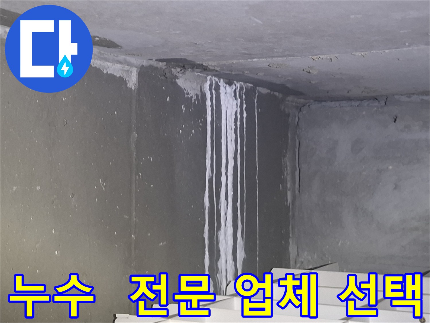 삼평동 아파트 누수 전문가 필요