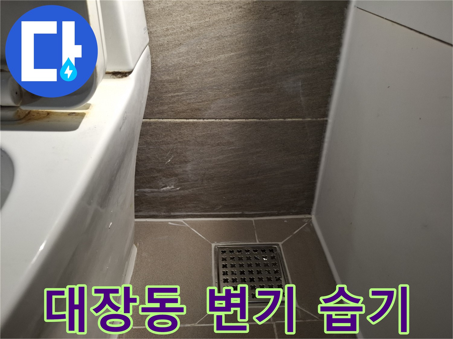 판교 대장동 변기 주변 습기 - 곰팡이 - 누수 의심