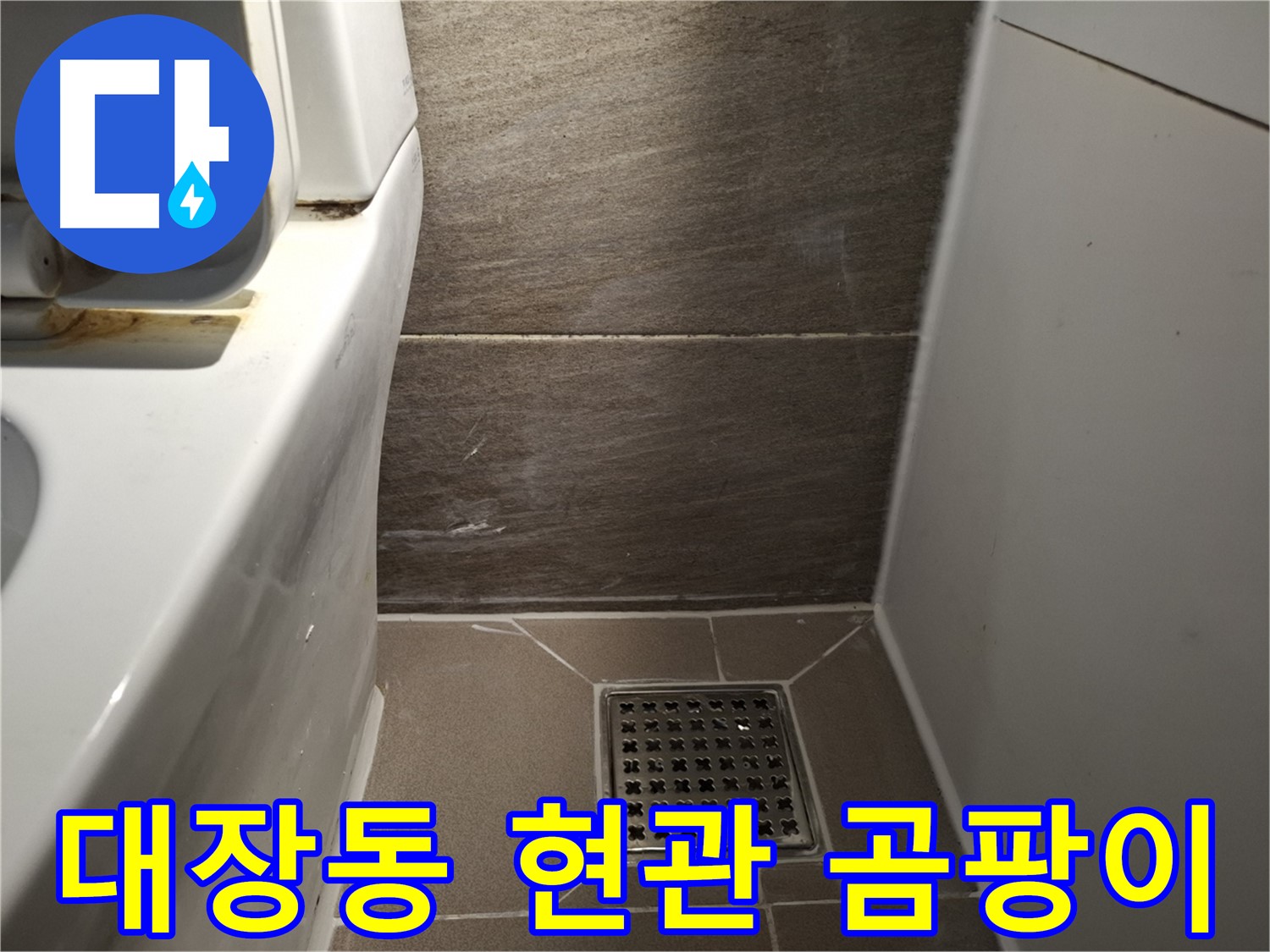 판교 대장동 현관문 주변 벽 곰팡이 - 빗물 누수 의심