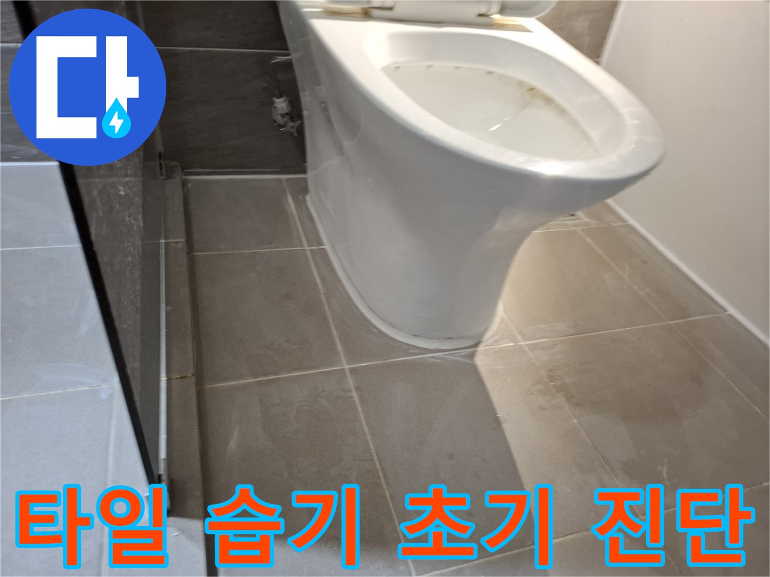 판교 봇들마을 - 변기 아래 타일 습기 - 누수 초기 진단