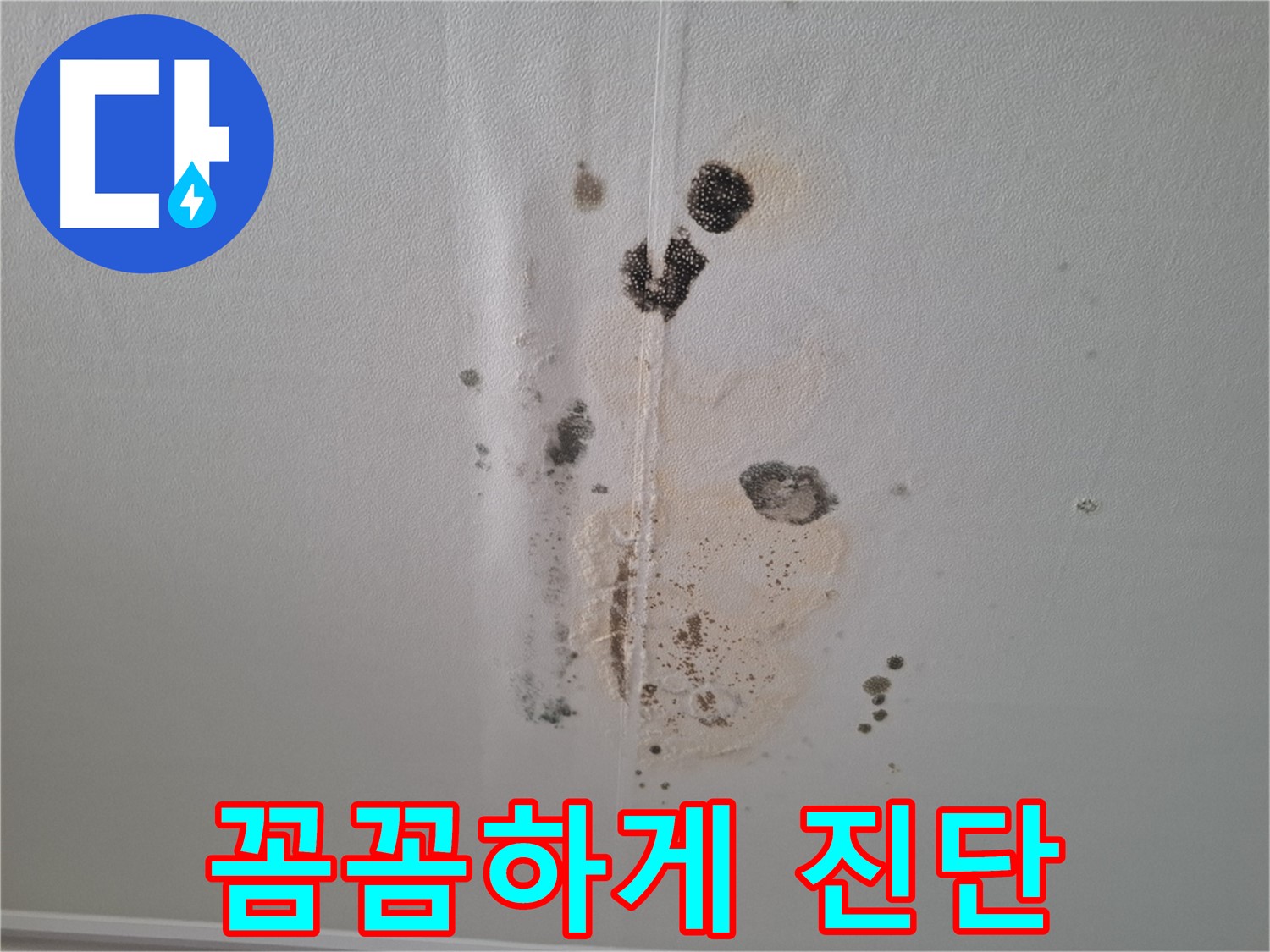 판교 봇들마을 아파트 누수 - 천장 누수, 꼼꼼하게 진단
