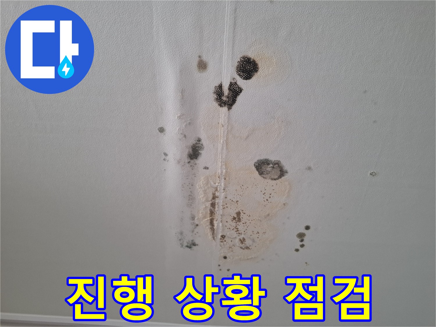 판교 봇들마을2단지 아파트 누수 - 206동 누수 진행 상황 점검 중