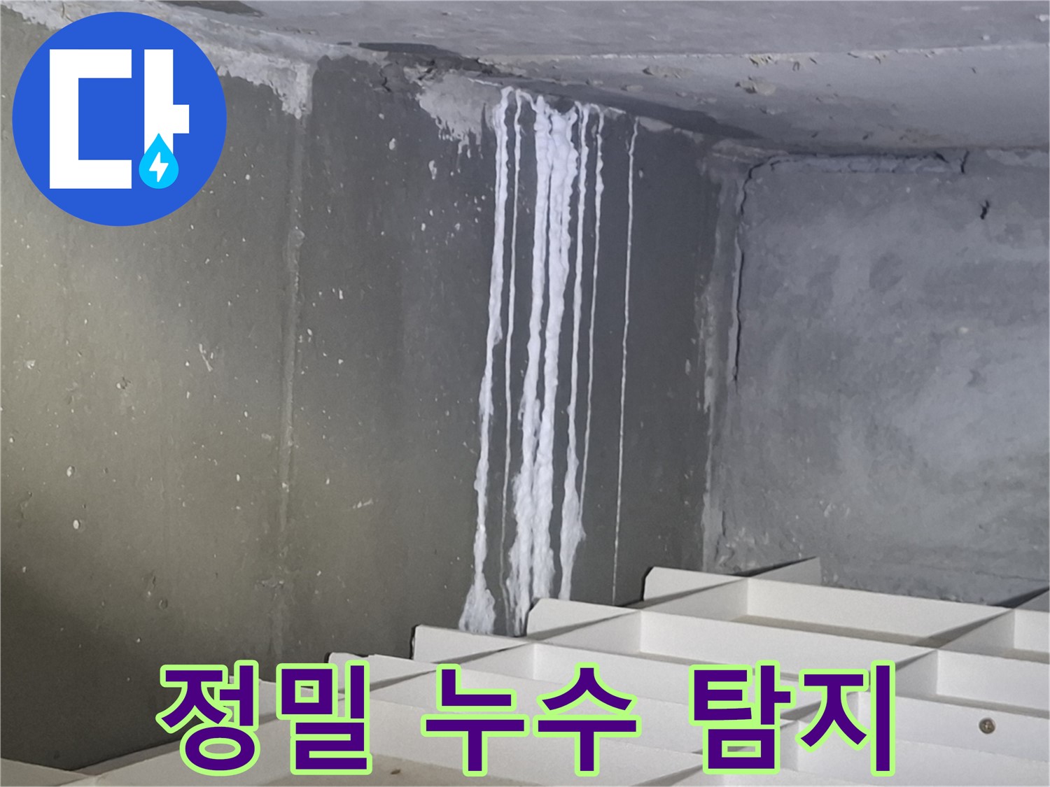 판교 봇들마을2단지 아파트 - 지하 석회 누수, 정밀 누수 탐지 진행!