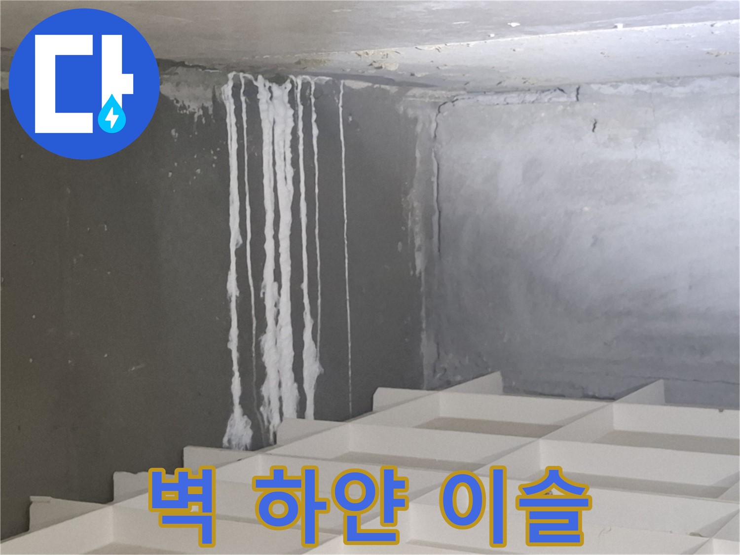 판교 삼평동 누수 - 벽에 맺힌 하얀 이슬, 누수 가능성 긴급 점검 필요