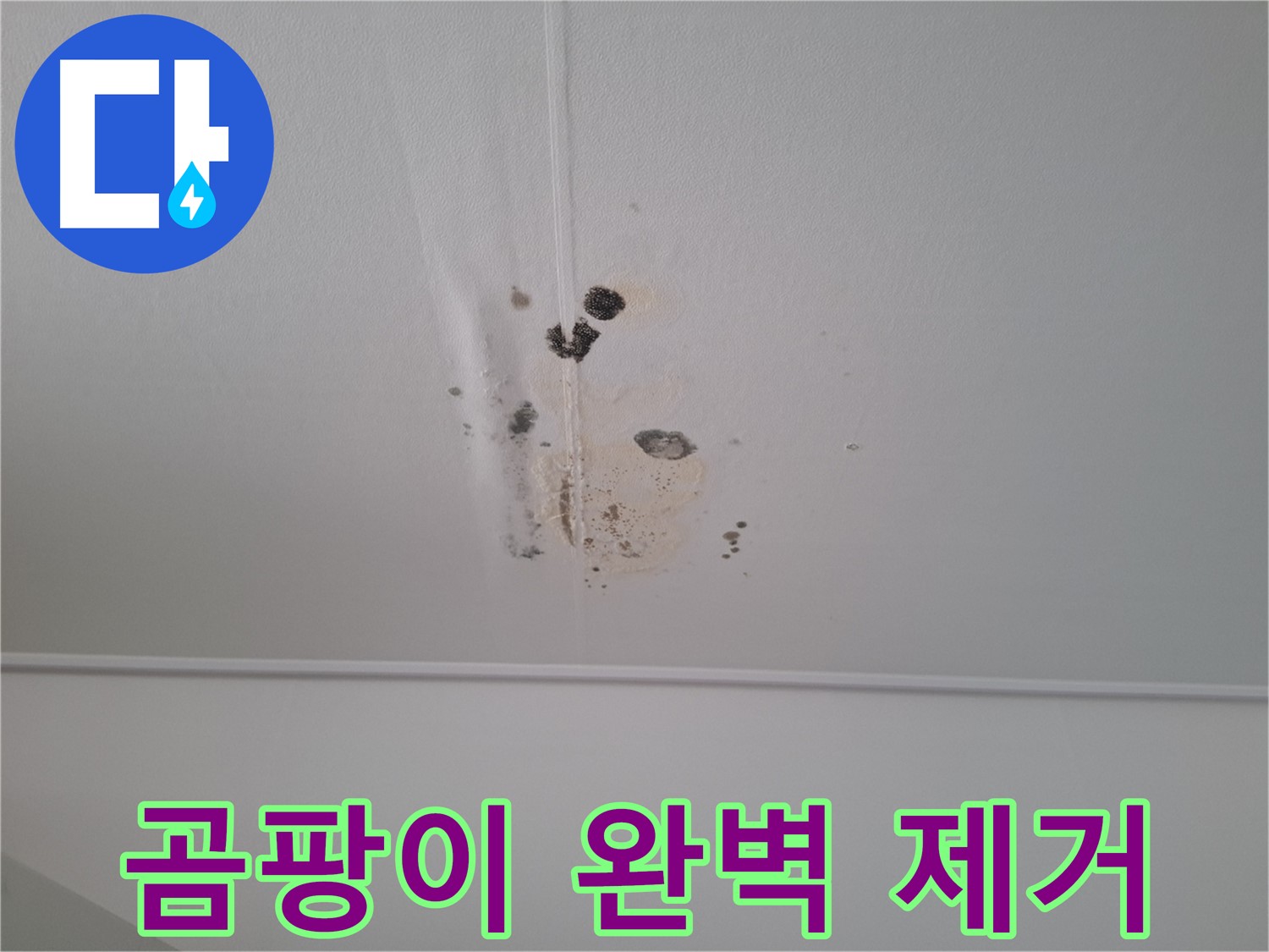 판교 삼평동 봇들마을2단지 아파트 - 곰팡이 문제를 완벽하게 제거하고 쾌적한 환경을 만들어 드립니다.