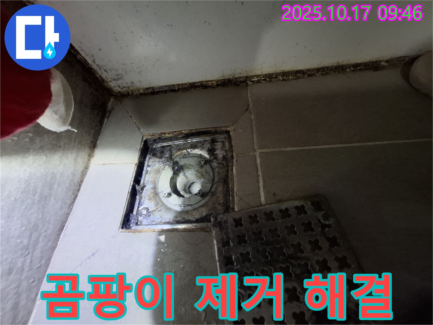 판교 삼평동 봇들마을2단지 아파트 - 욕실 배수구 곰팡이 제거 - 누수 신속 해결 - 빠른 해결로 쾌적한 욕실.
