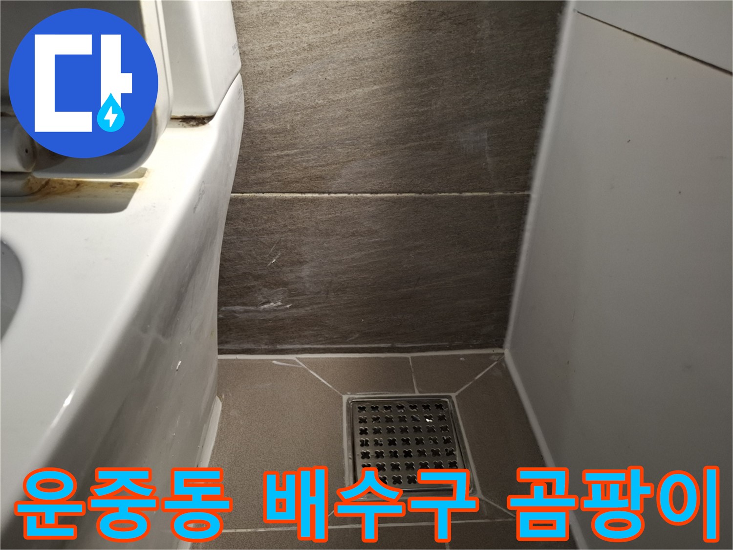 판교 운중동 화장실 배수구 주변 곰팡이 - 청소 해결?