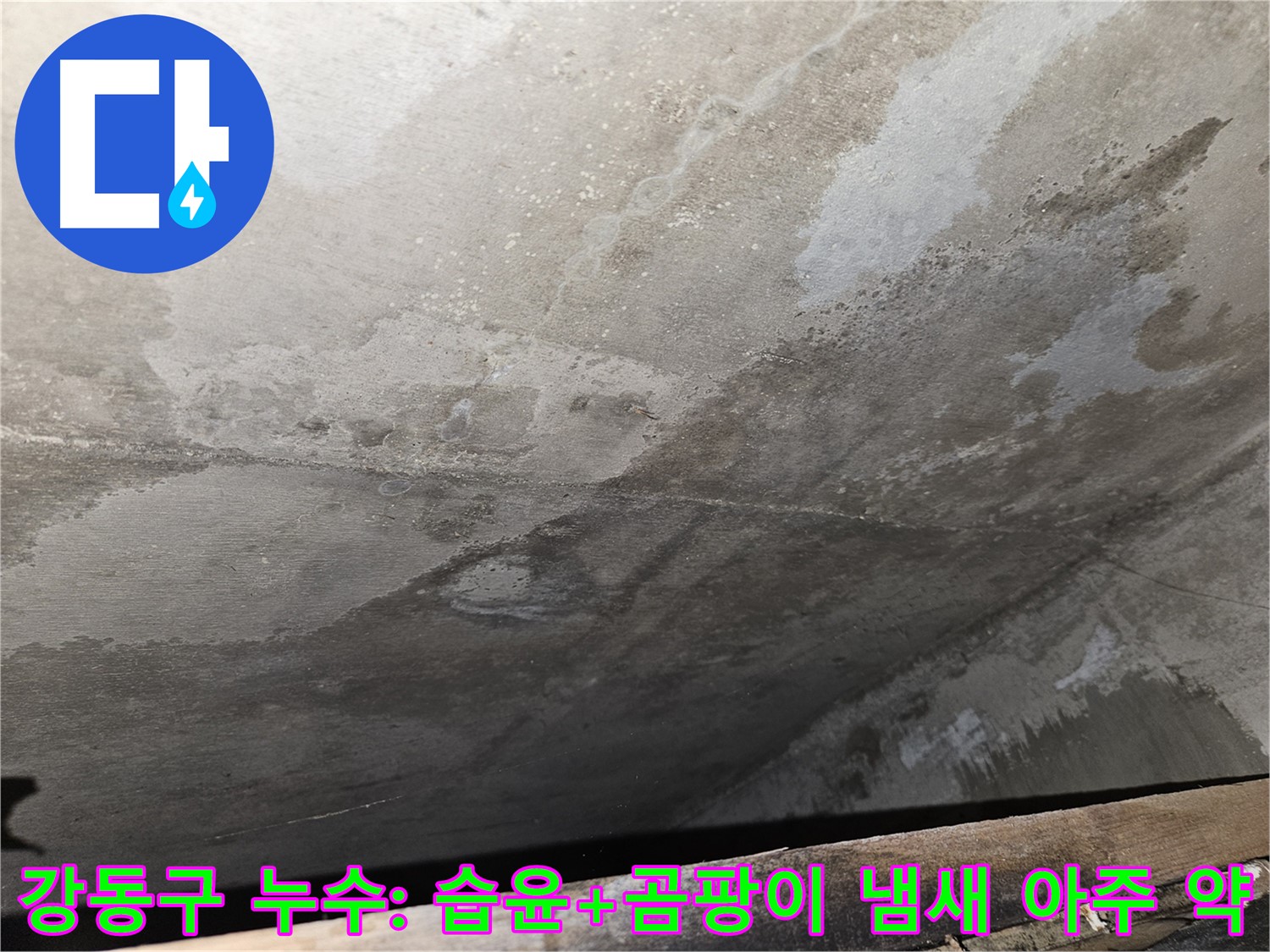 강동구 아파트 콘크리트 누수 - 습윤, 냄새 아주 약은 누수 초기
