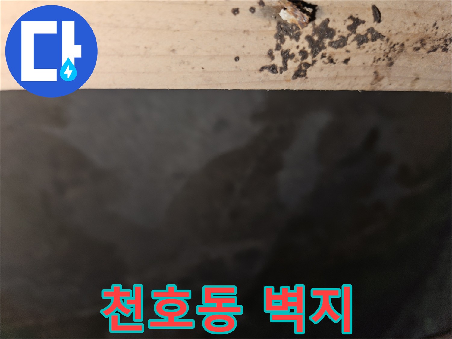 강동구 천호동 누수 - 벽지 곰팡이 해결 - 완벽 시공