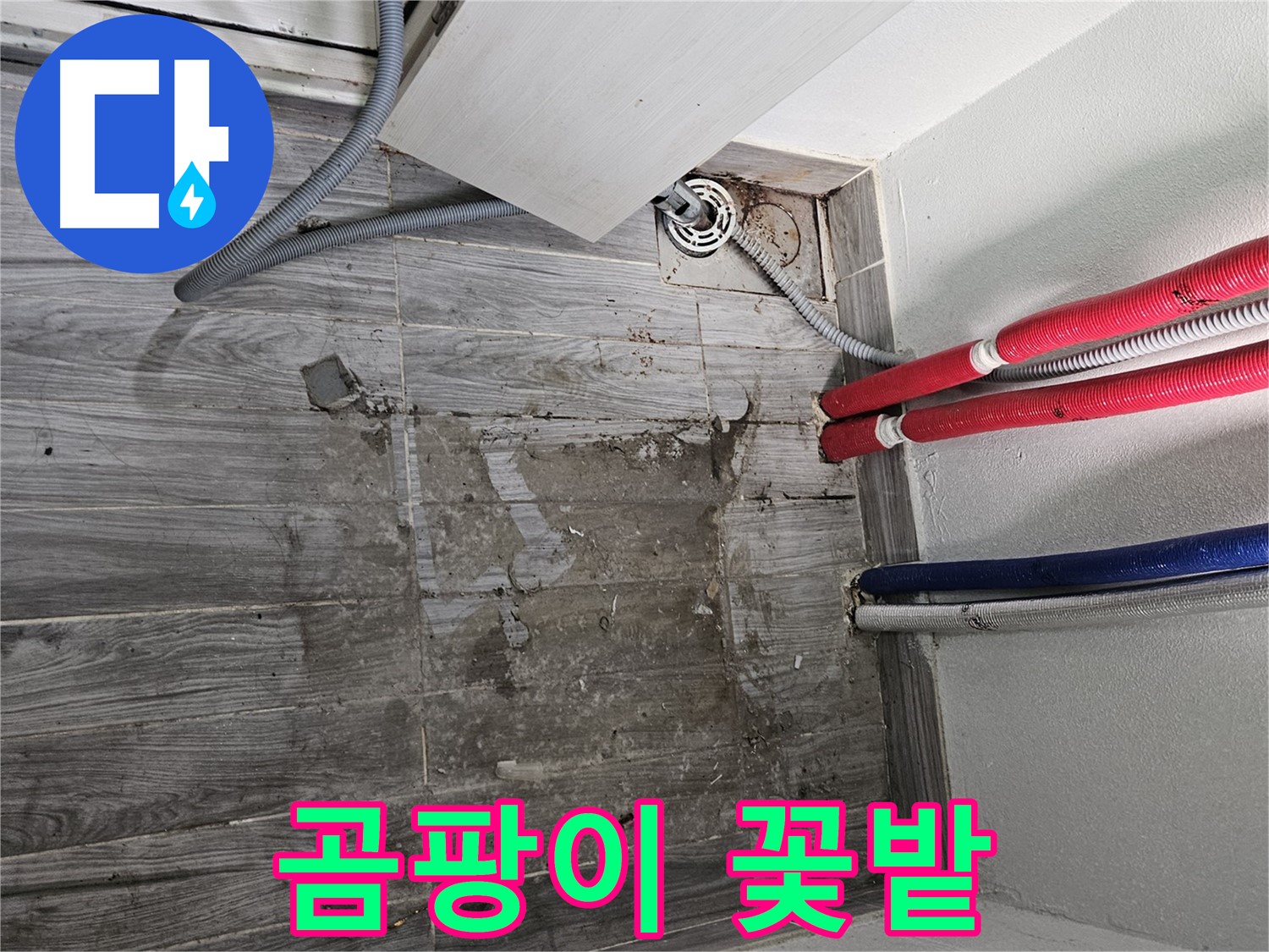 강동구 천호동 세탁실 누수 - 곰팡이 꽃밭 될라!
