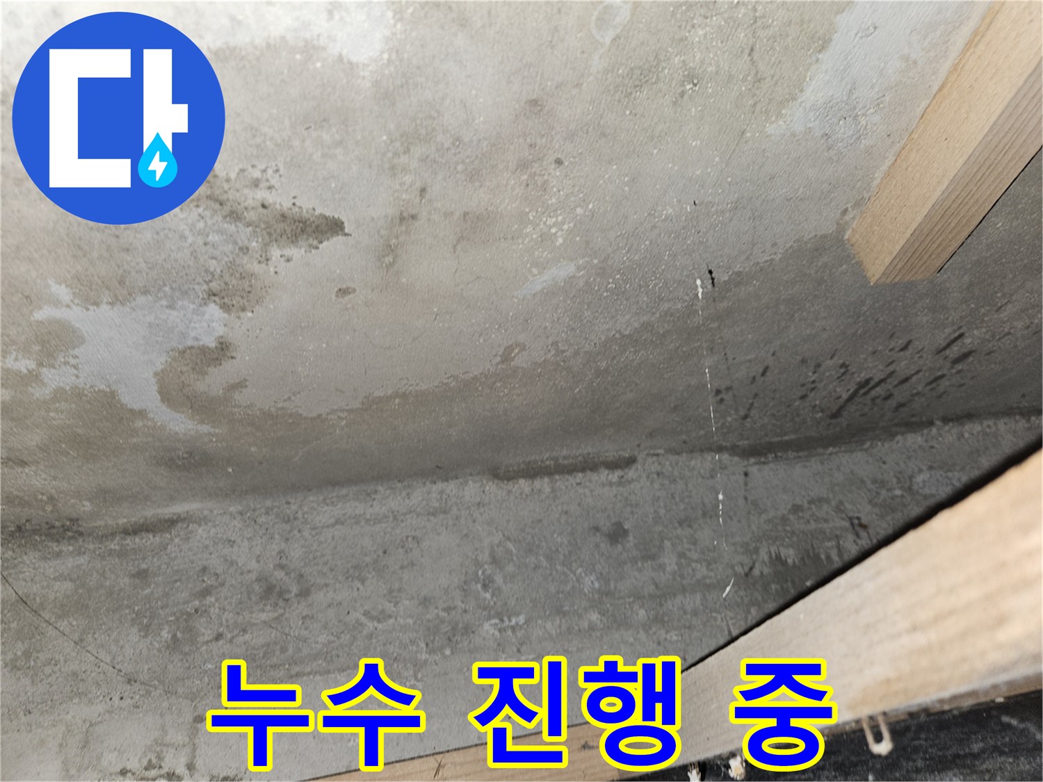 누수 진행 중 - 콘크리트 천장에서 물이 떨어지는 모습은 누수가 심각하게 진행되고 있음을 나타냅니다.