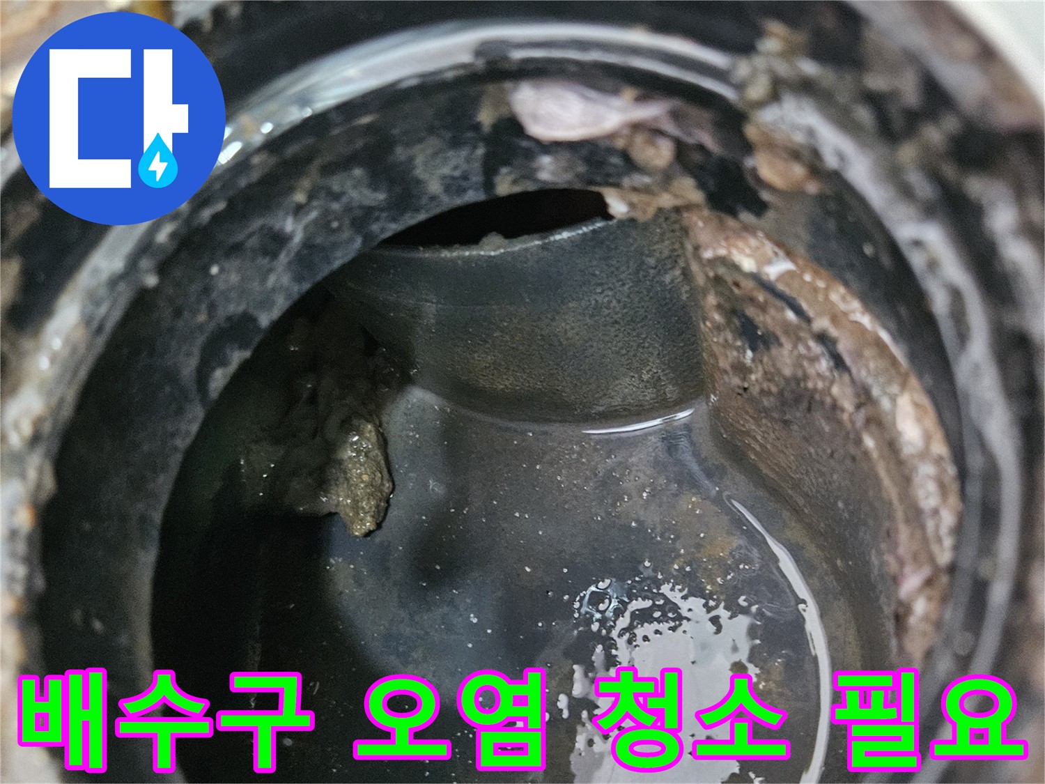 배수구 내부 오염 - 쾌적한 환경을 위해 청소하세요
