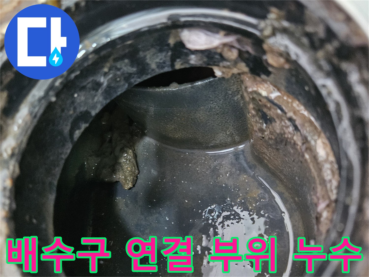 배수구 연결 부위 - 누수 발생 원인 확인