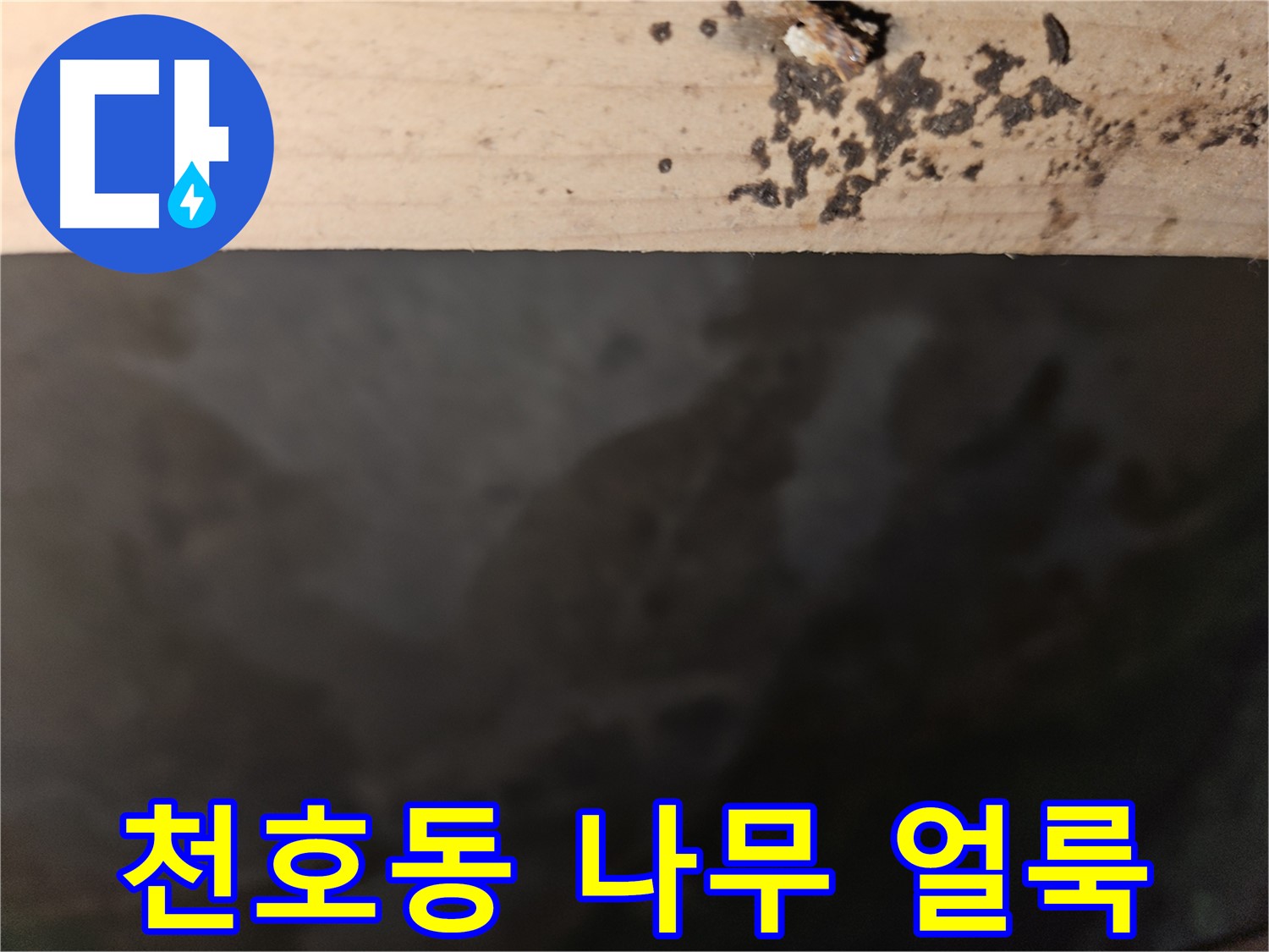 천호2동 573 누수 - 나무 윗면 얼룩 - 초기