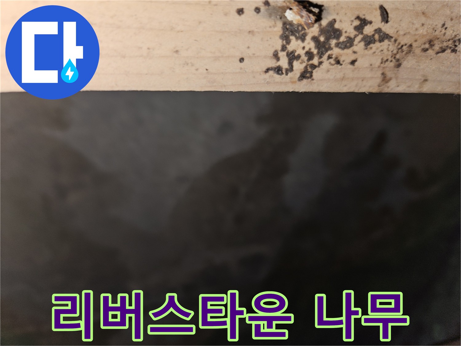 천호동 리버스타운 누수 - 나무 테두리 점검 - 첨단