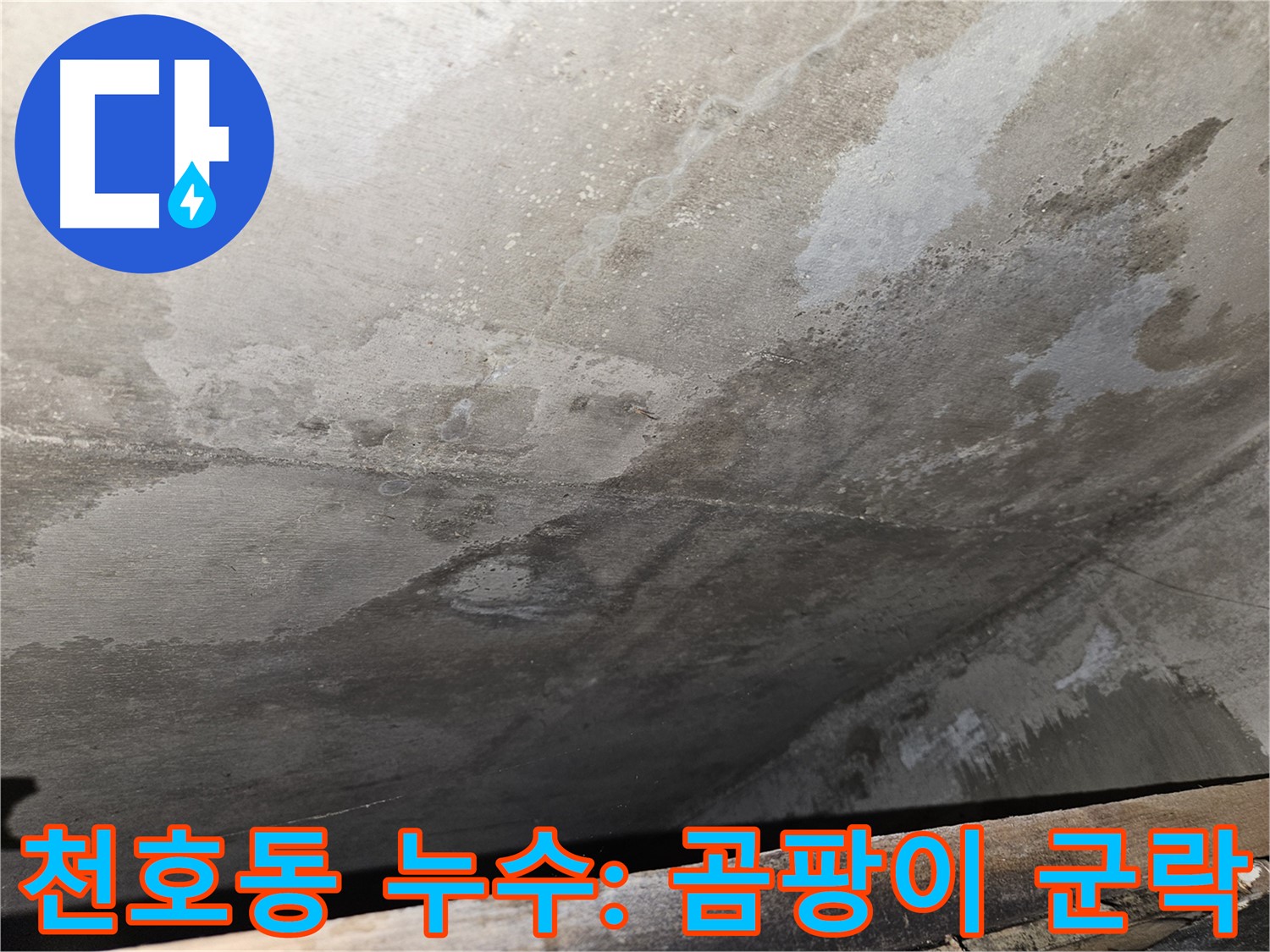 천호동 리버스타운 콘크리트 누수 - 곰팡이 군락은 건강에 매우 해로움