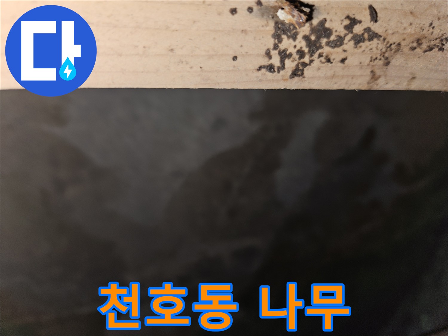 천호동 아파트 누수 - 나무 겉면 반점 - 긴급